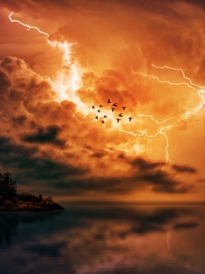 Flock of birds in the middle of a lightning storm.